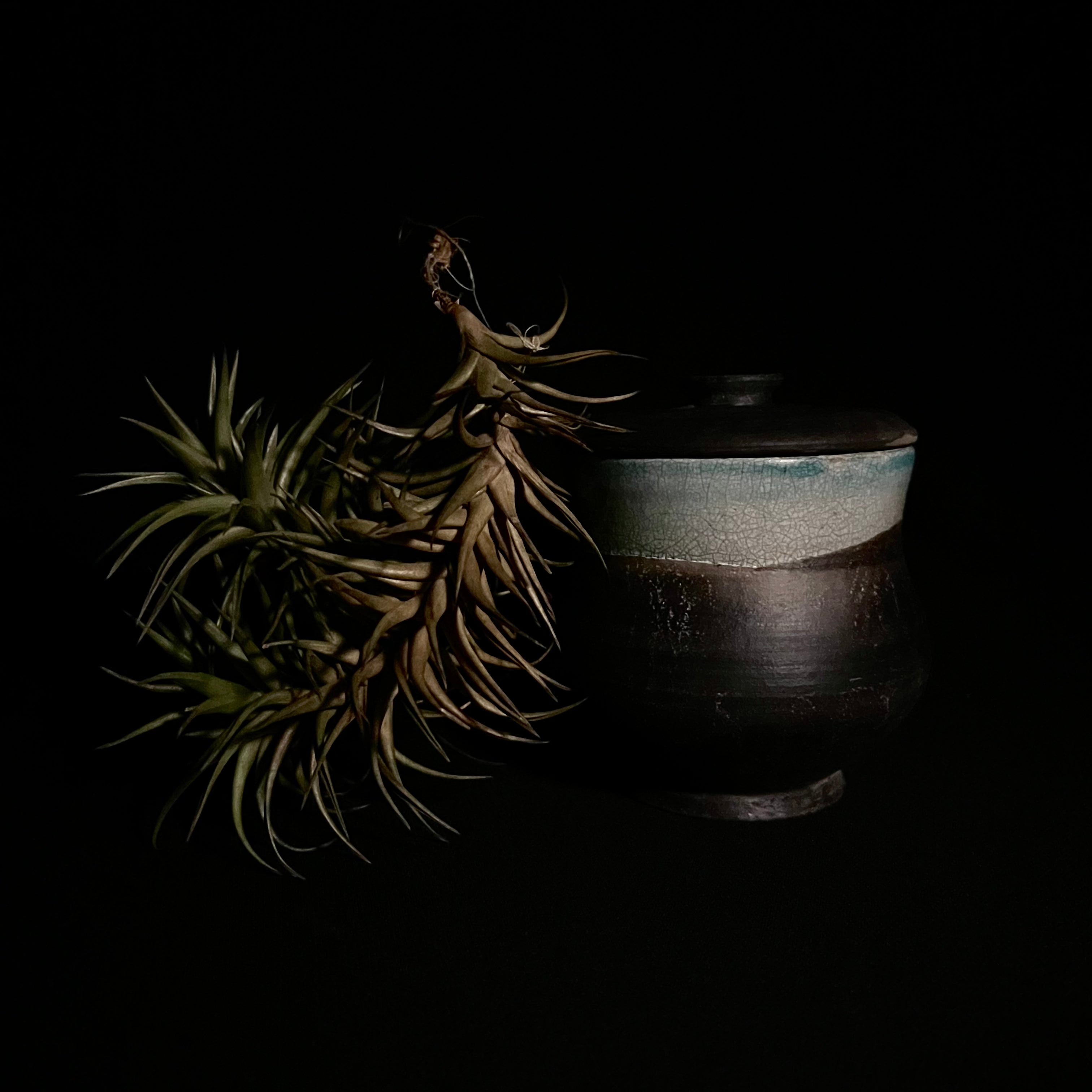 Handmade Ceramic Keepsake Urn | Keepsake for Ashes | Keepsake Cremation Urns | Pet Keepsake | Wabi Sabi Urn | Unique keepsake Urn | Dogs Urn